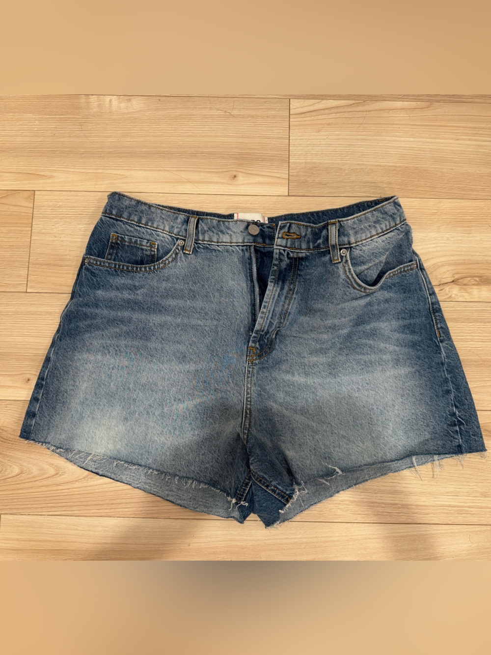 BDG ( urban outfitters )A Line shorts